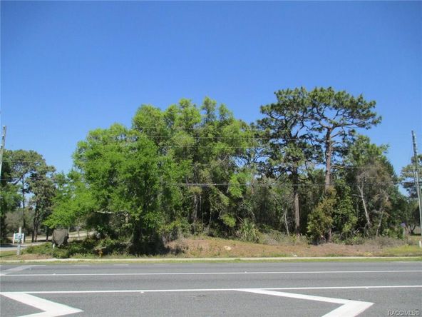 271 W Gulf to Lake High, Lecanto, FL 34461